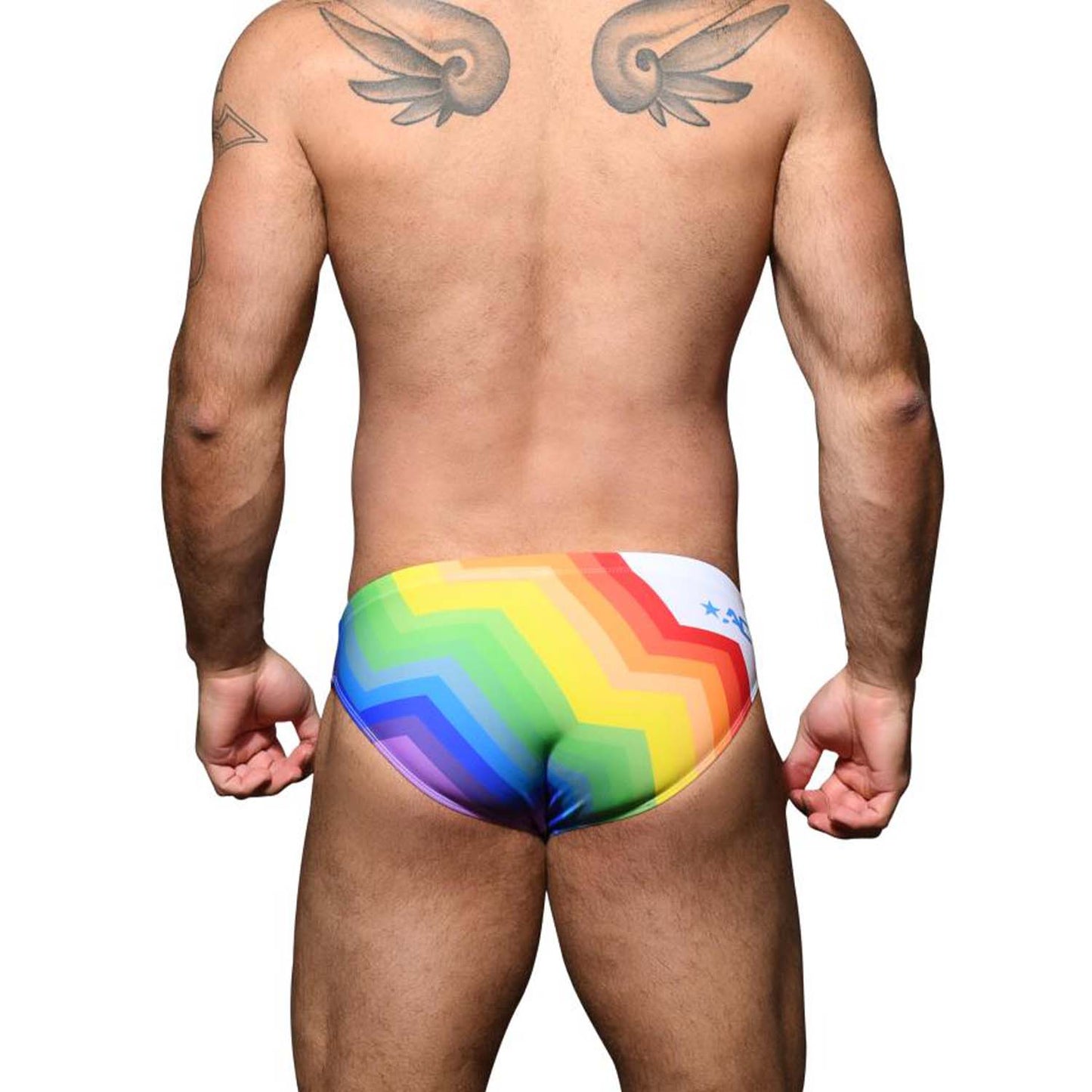Pride Vision Swimbrief