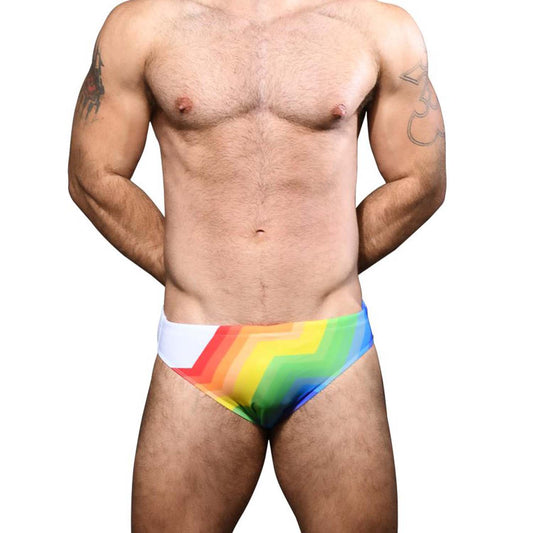 Pride Vision Swimbrief