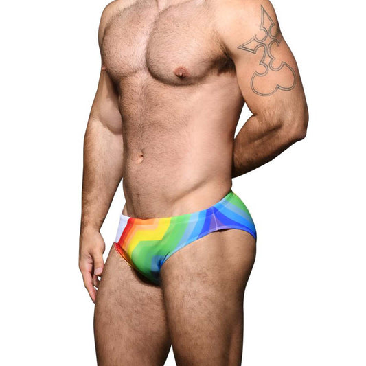 Pride Vision Swimbrief